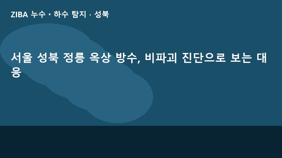 서울 성북 정릉 옥상 방수, 비파괴 진단으로 보는 대응