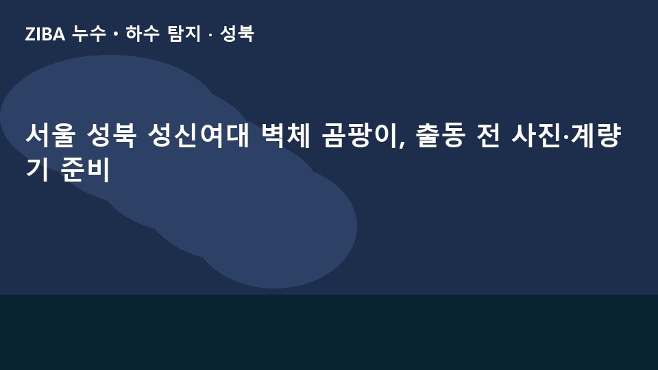 서울 성북 성신여대 벽체 곰팡이, 출동 전 사진·계량기 준비