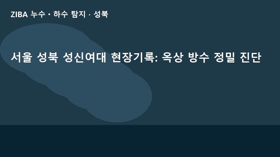 서울 성북 성신여대 현장기록: 옥상 방수 정밀 진단