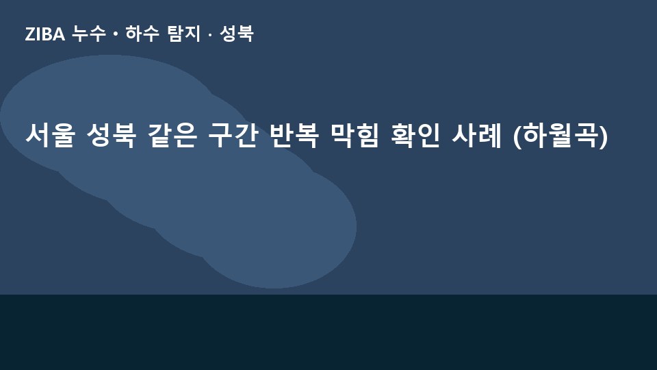 서울 성북 같은 구간 반복 막힘 확인 사례 (하월곡)