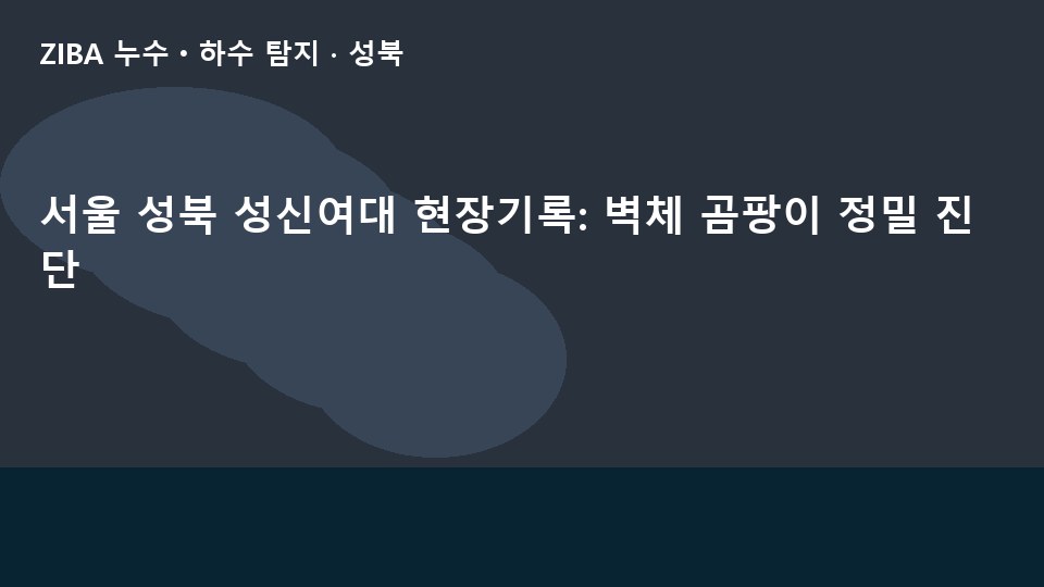 서울 성북 성신여대 현장기록: 벽체 곰팡이 정밀 진단