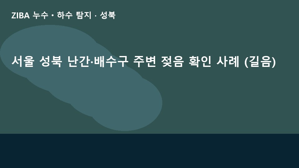 서울 성북 난간·배수구 주변 젖음 확인 사례 (길음)