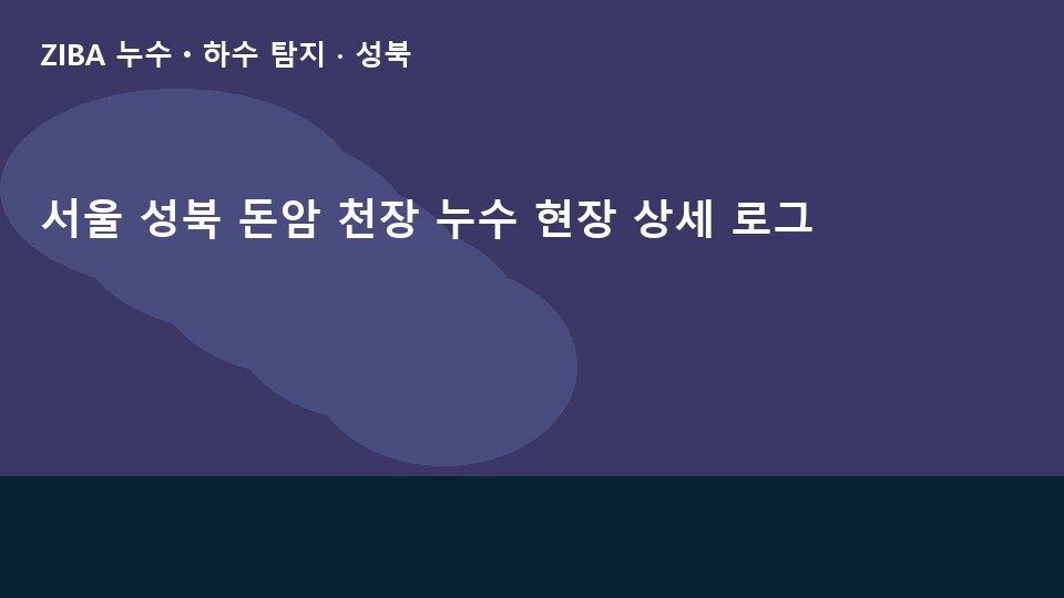 서울 성북 돈암 천장 누수 현장 상세 로그